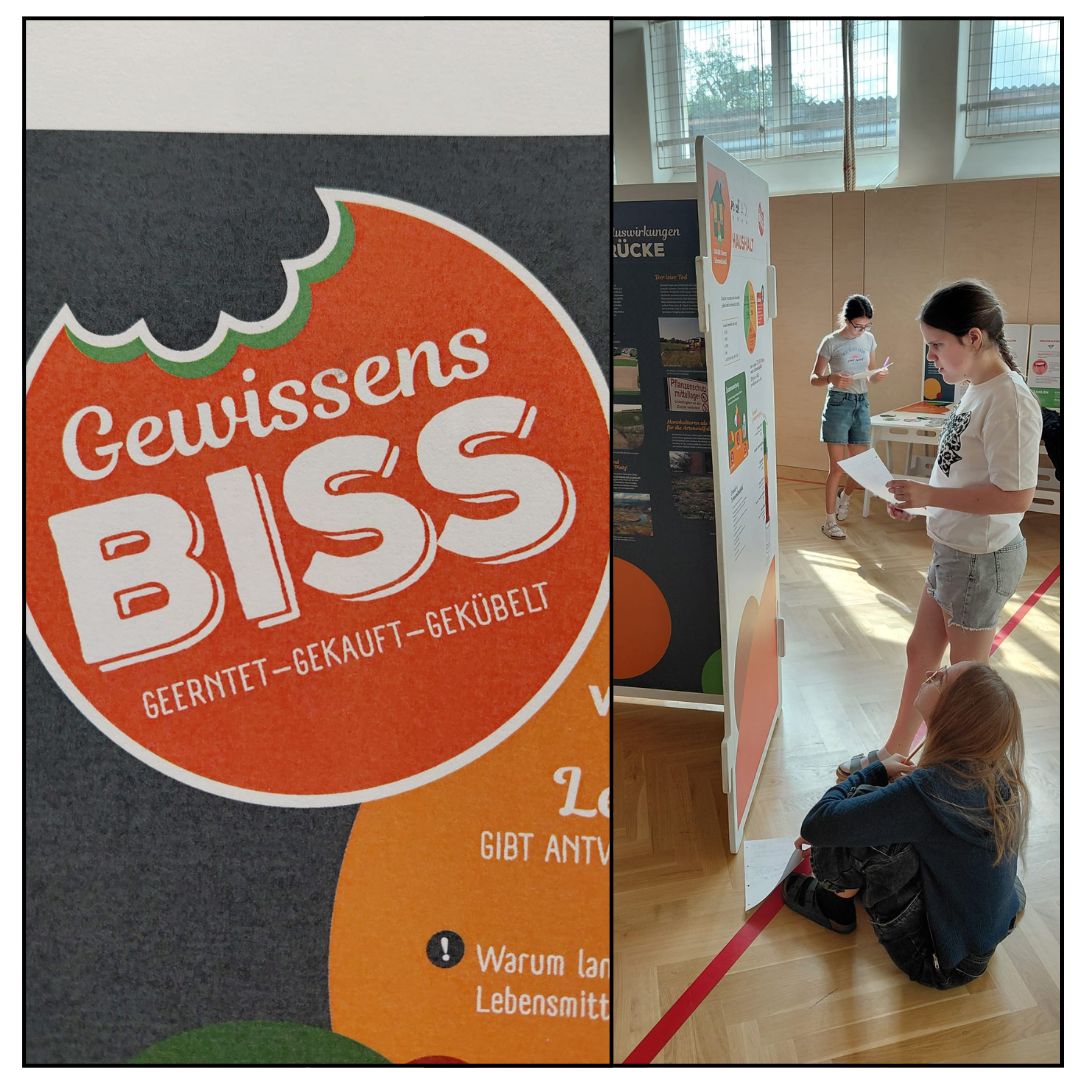 Ausstellung „GewissensBISS“ im kleinen Turnsaal